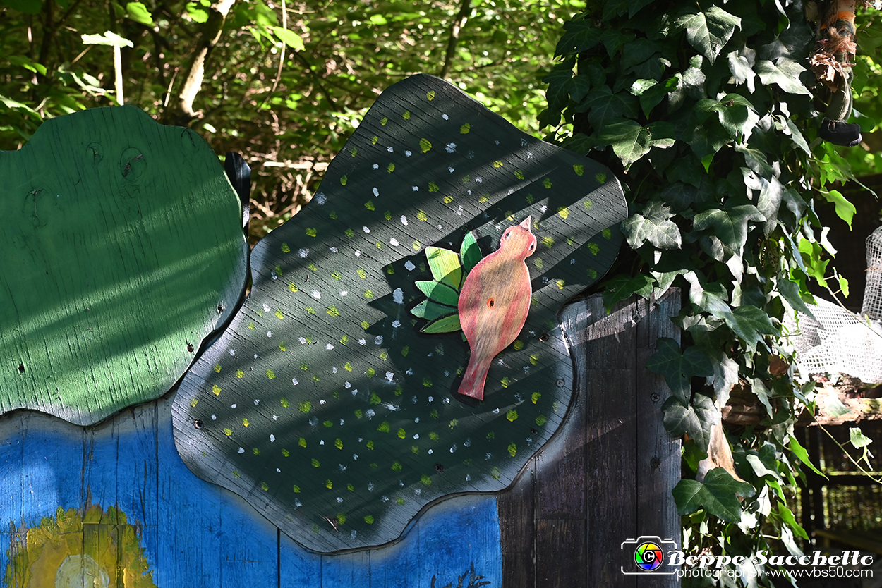 VBS_4931 - Il bosco fatato - Montaldo Roero.jpg